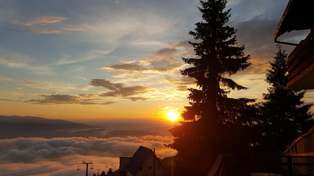 Vila Parang Petroşani Buitenkant foto