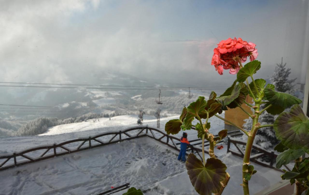 Vila Parang Petroşani Buitenkant foto