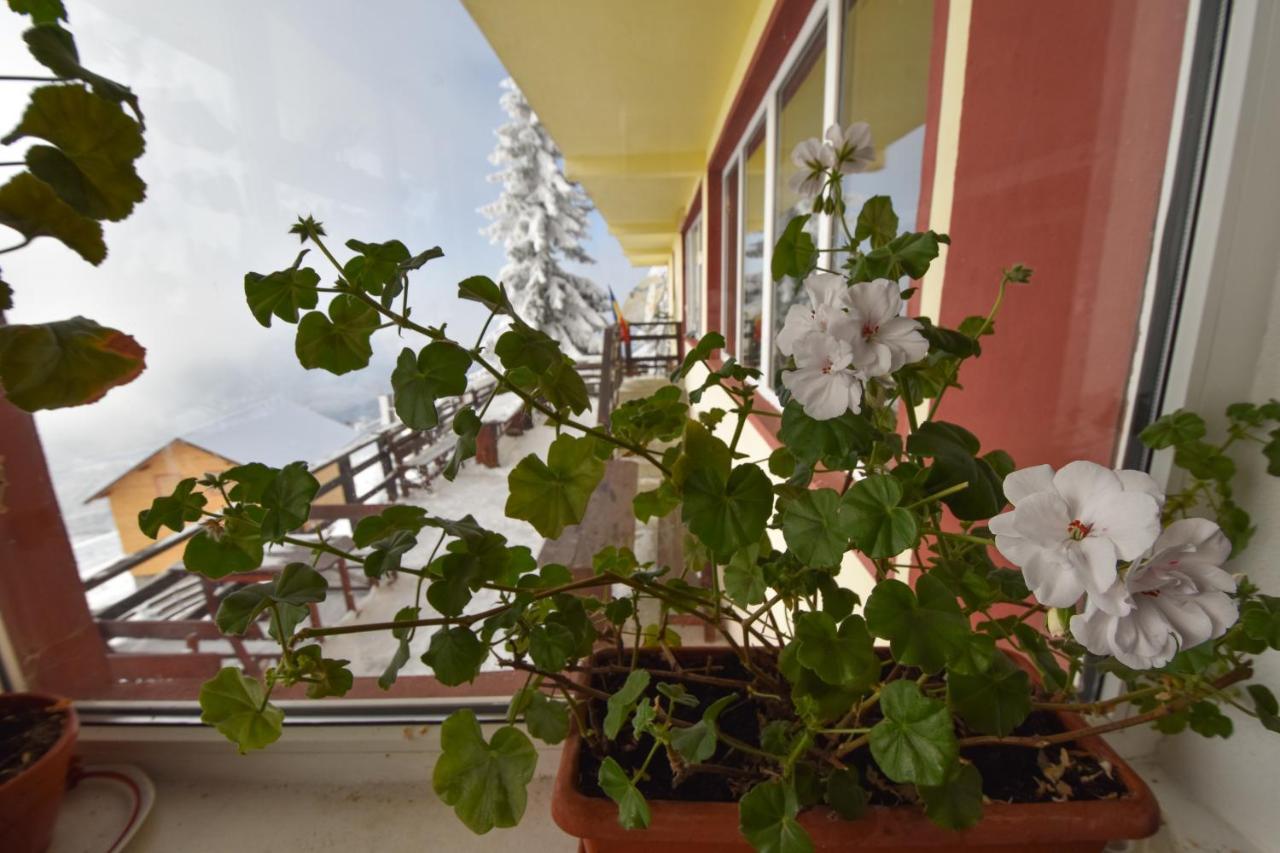 Vila Parang Petroşani Buitenkant foto